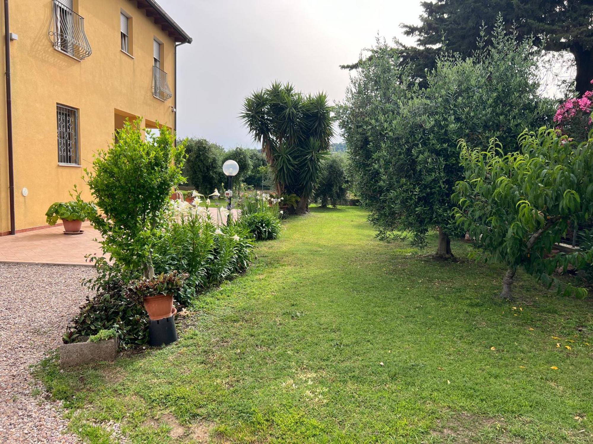 Agriturismo Il Giardino Degli Olivi Appartamenti Castiglione della Pescaia Bagian luar foto