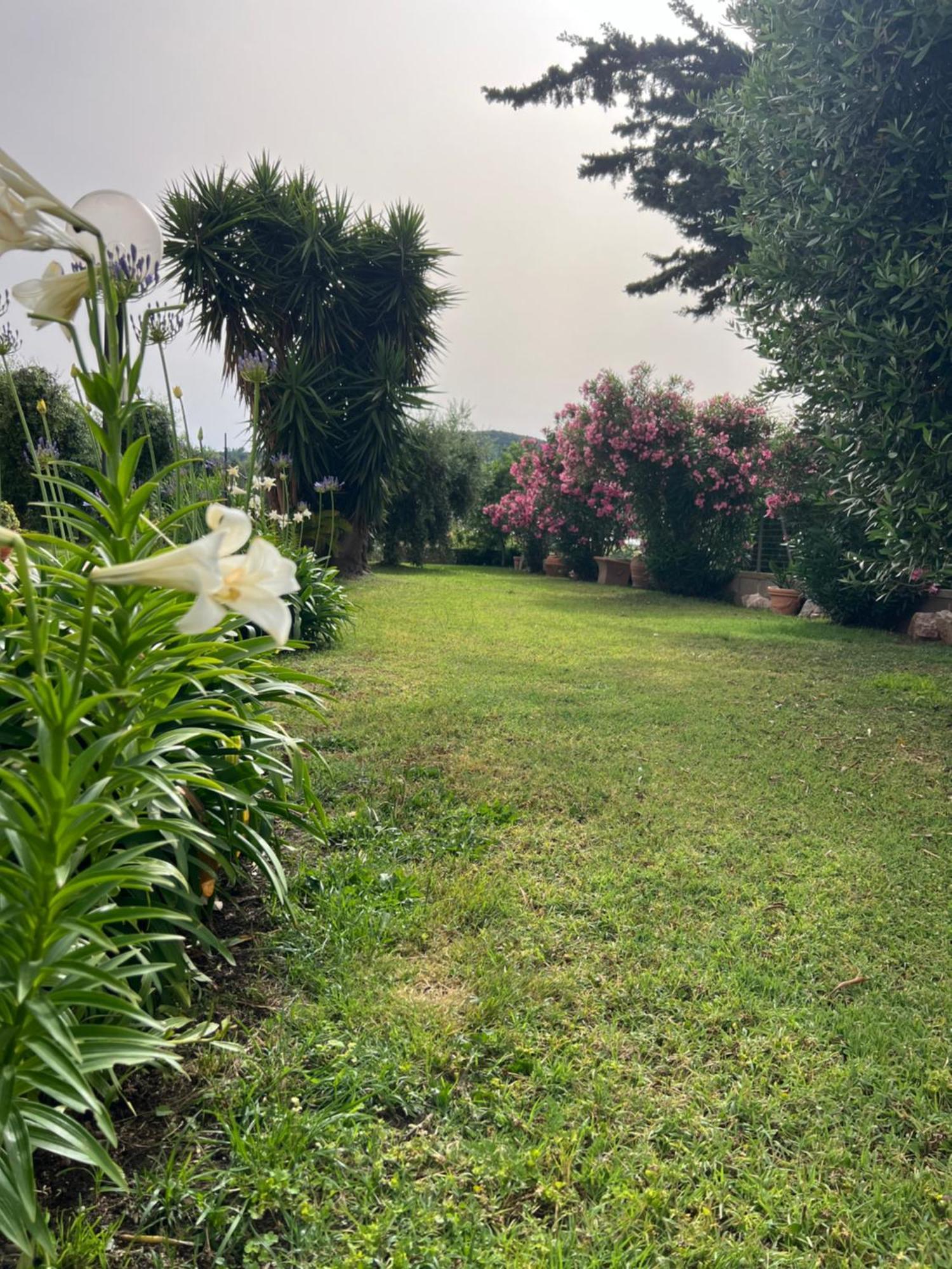 Agriturismo Il Giardino Degli Olivi Appartamenti Castiglione della Pescaia Bagian luar foto