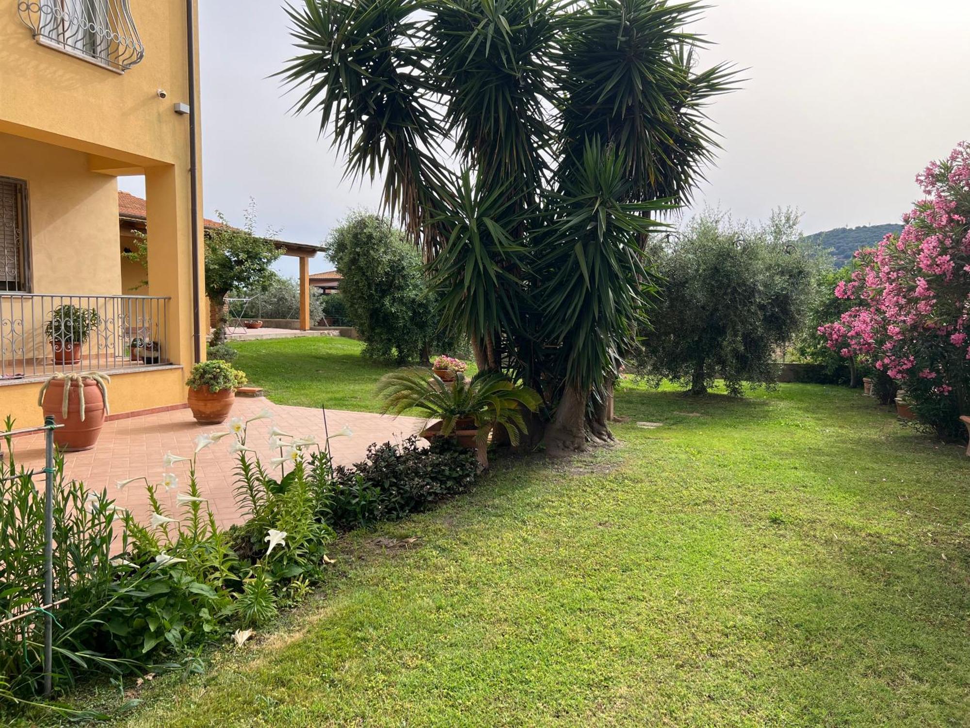 Agriturismo Il Giardino Degli Olivi Appartamenti Castiglione della Pescaia Bagian luar foto